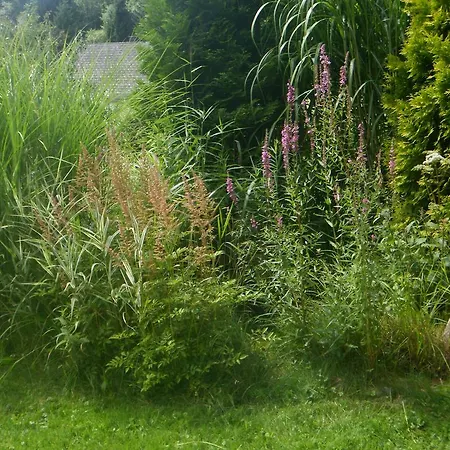 Ferienhaus Eder * Ardning